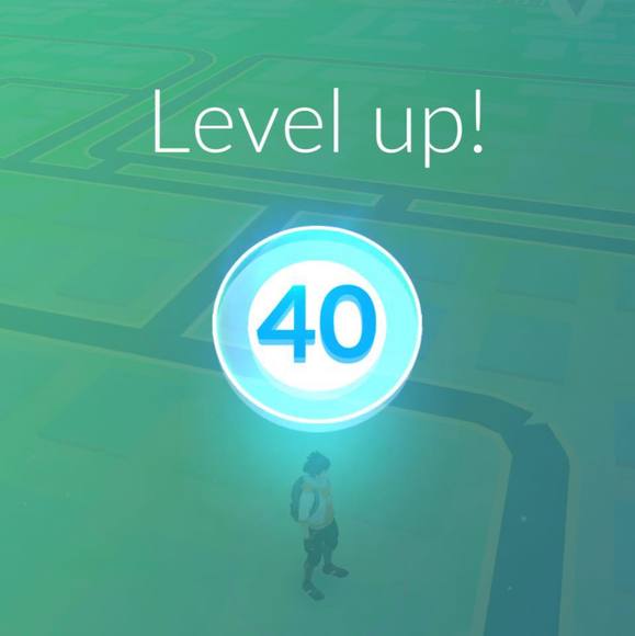 Meet your Posher, Ikaika - Picture 1 of 1